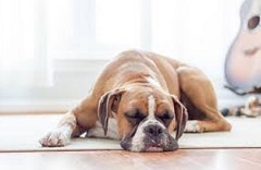 Air con repairs for Aveley, Essex and throughout Essex, London, Cambridge and Hertfordshire or Suffolk regions.